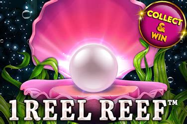  1 Reel Reef yuvası